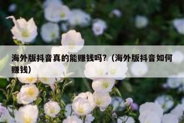 海外版抖音真的能赚钱吗?（海外版抖音如何赚钱） 第1张