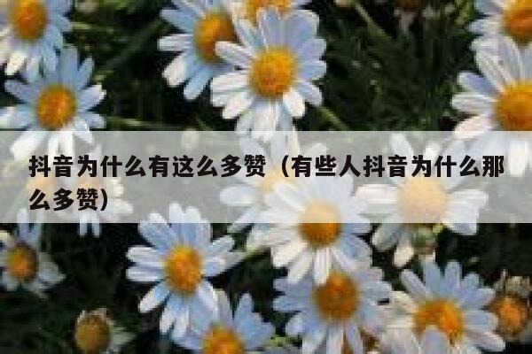 抖音为什么有这么多赞（有些人抖音为什么那么多赞） 第1张