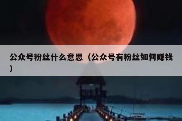 公众号粉丝什么意思（公众号有粉丝如何赚钱） 第1张