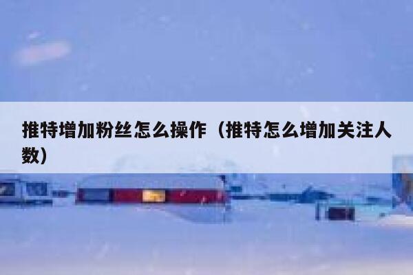 推特增加粉丝怎么操作（推特怎么增加关注人数） 第1张