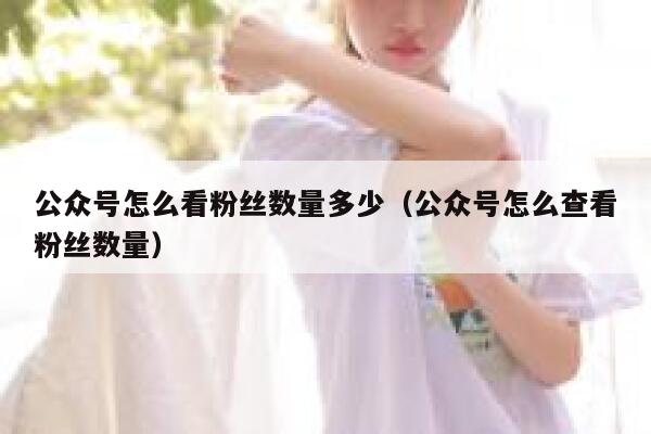 公众号怎么看粉丝数量多少（公众号怎么查看粉丝数量） 第1张
