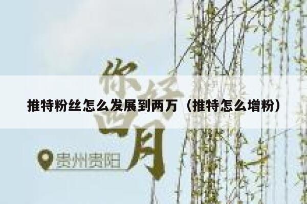 推特粉丝怎么发展到两万（推特怎么增粉） 第1张