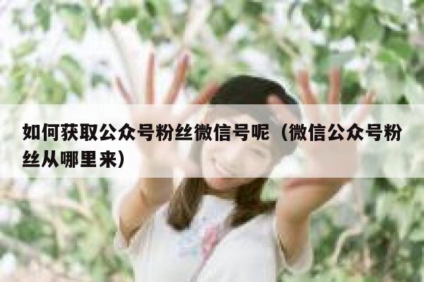 如何获取公众号粉丝微信号呢（微信公众号粉丝从哪里来） 第1张