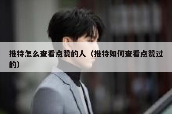 推特怎么查看点赞的人（推特如何查看点赞过的） 第1张