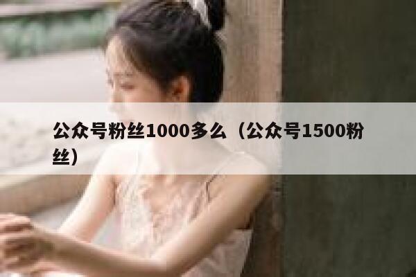 公众号粉丝1000多么（公众号1500粉丝） 第1张