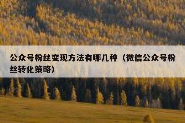 公众号粉丝变现方法有哪几种（微信公众号粉丝转化策略） 第1张