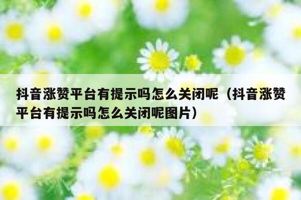 抖音涨赞平台有提示吗怎么关闭呢（抖音涨赞平台有提示吗怎么关闭呢图片） 第1张