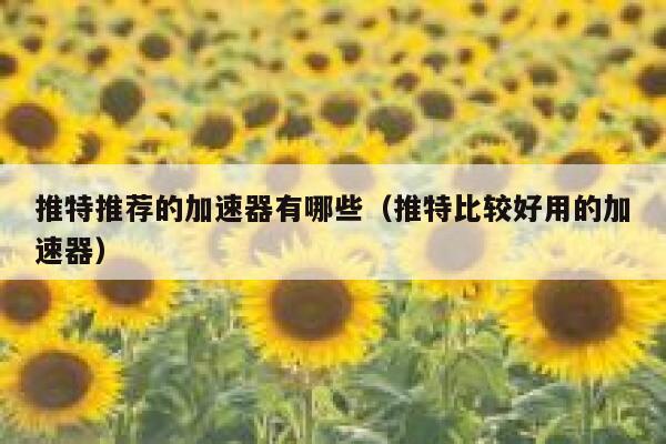 推特推荐的加速器有哪些（推特比较好用的加速器） 第1张