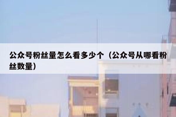 公众号粉丝量怎么看多少个（公众号从哪看粉丝数量） 第1张