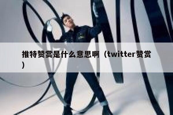 推特赞赏是什么意思啊（twitter赞赏） 第1张
