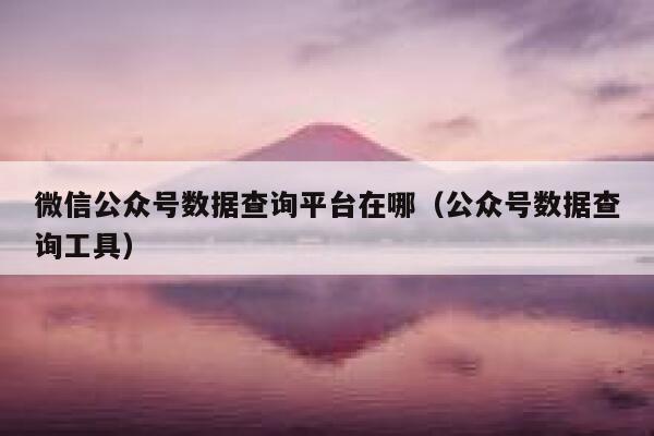 微信公众号数据查询平台在哪（公众号数据查询工具） 第1张