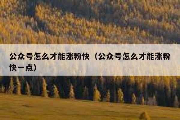 公众号怎么才能涨粉快（公众号怎么才能涨粉快一点） 第1张