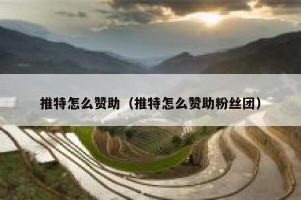 推特怎么赞助（推特怎么赞助粉丝团） 第1张