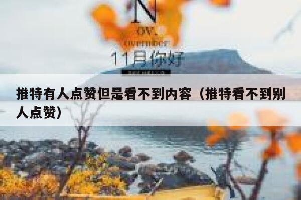 推特有人点赞但是看不到内容（推特看不到别人点赞） 第1张