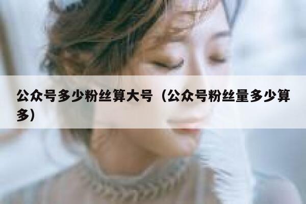 公众号多少粉丝算大号（公众号粉丝量多少算多） 第1张