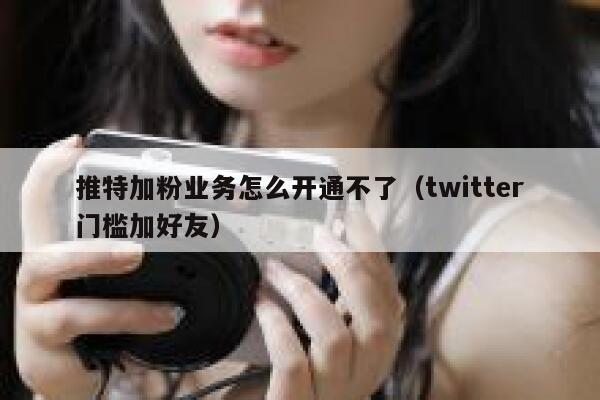 推特加粉业务怎么开通不了（twitter门槛加好友） 第1张