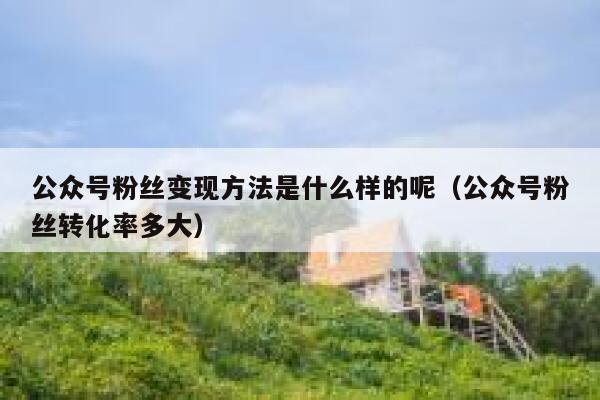 公众号粉丝变现方法是什么样的呢（公众号粉丝转化率多大） 第1张