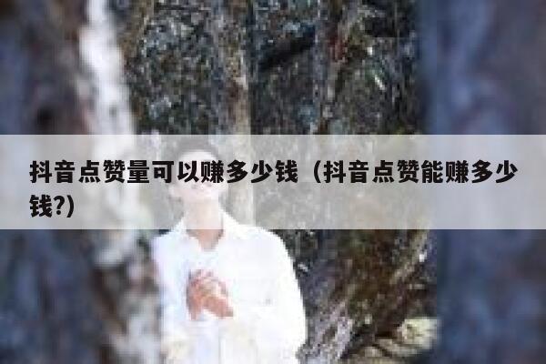 抖音点赞量可以赚多少钱（抖音点赞能赚多少钱?） 第1张