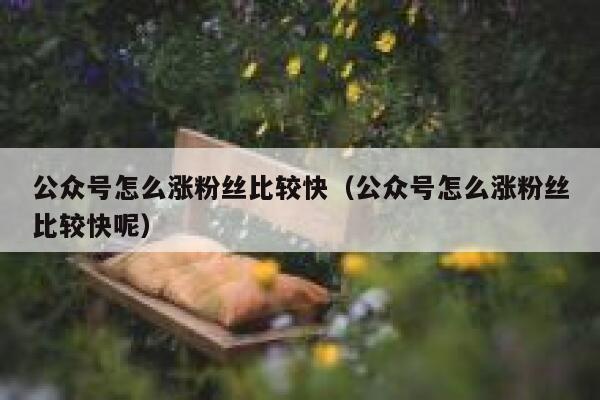 公众号怎么涨粉丝比较快（公众号怎么涨粉丝比较快呢） 第1张