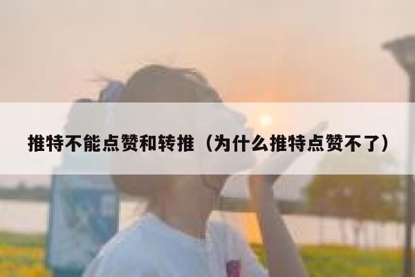 推特不能点赞和转推（为什么推特点赞不了） 第1张