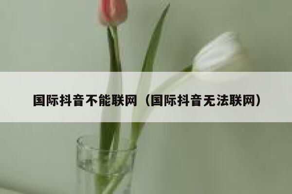 国际抖音不能联网（国际抖音无法联网） 第1张