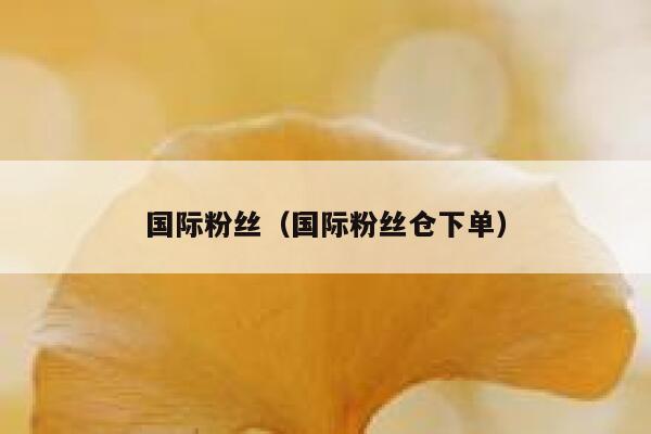 国际粉丝（国际粉丝仓下单） 第1张