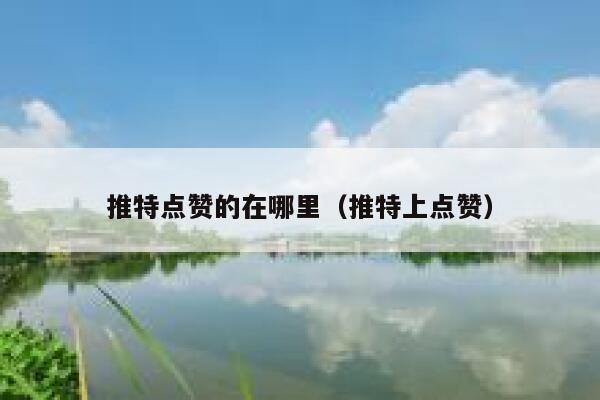 推特点赞的在哪里（推特上点赞） 第1张