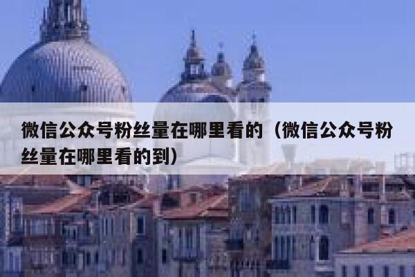 微信公众号粉丝量在哪里看的（微信公众号粉丝量在哪里看的到） 第1张
