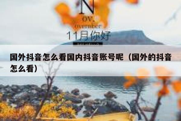国外抖音怎么看国内抖音账号呢（国外的抖音怎么看） 第1张