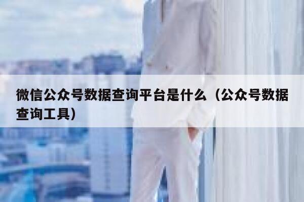 微信公众号数据查询平台是什么（公众号数据查询工具） 第1张