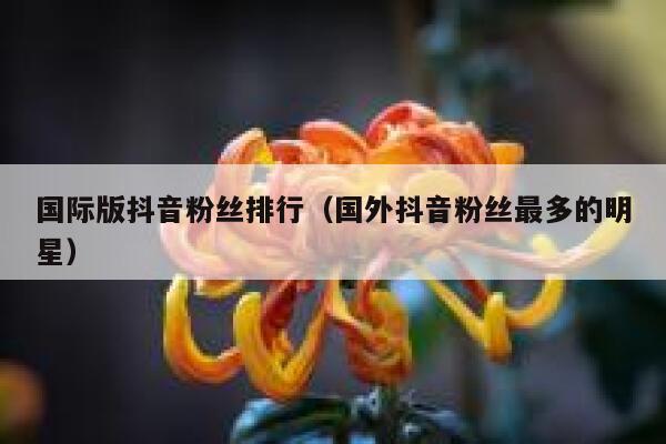 国际版抖音粉丝排行（国外抖音粉丝最多的明星） 第1张