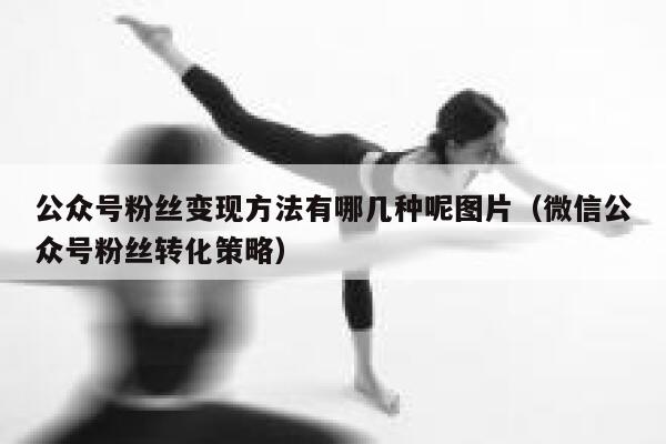 公众号粉丝变现方法有哪几种呢图片（微信公众号粉丝转化策略） 第1张