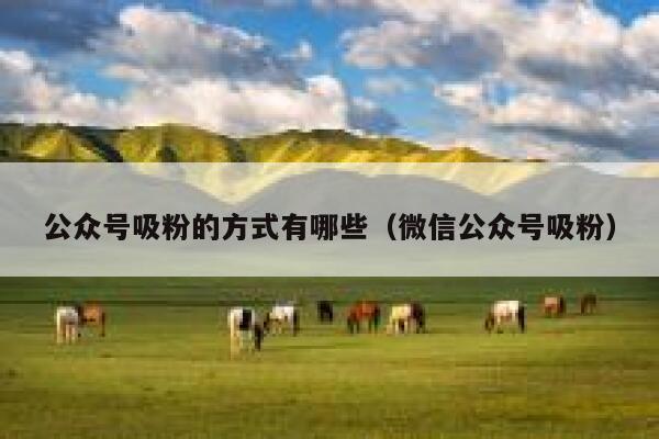 公众号吸粉的方式有哪些（微信公众号吸粉） 第1张