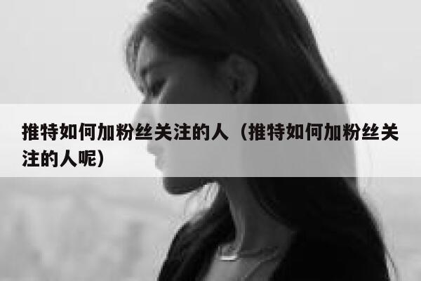 推特如何加粉丝关注的人（推特如何加粉丝关注的人呢） 第1张