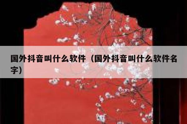 国外抖音叫什么软件（国外抖音叫什么软件名字） 第1张