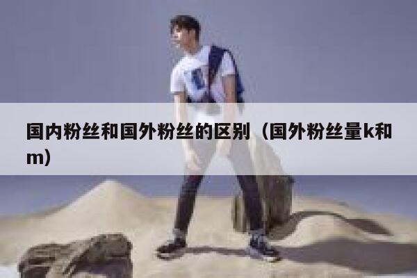 国内粉丝和国外粉丝的区别（国外粉丝量k和m） 第1张