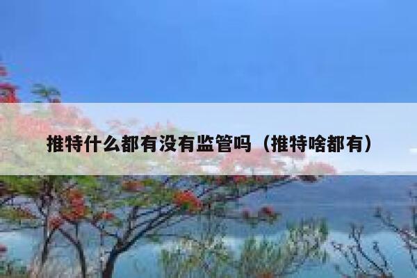推特什么都有没有监管吗（推特啥都有） 第1张