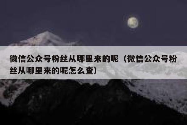 微信公众号粉丝从哪里来的呢（微信公众号粉丝从哪里来的呢怎么查） 第1张