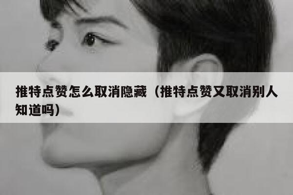 推特点赞怎么取消隐藏（推特点赞又取消别人知道吗） 第1张