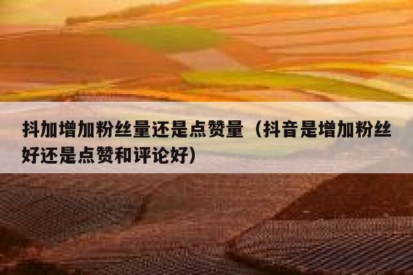 抖加增加粉丝量还是点赞量（抖音是增加粉丝好还是点赞和评论好） 第1张