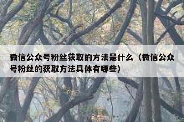 微信公众号粉丝获取的方法是什么（微信公众号粉丝的获取方法具体有哪些） 第1张