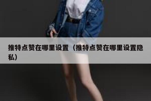 推特点赞在哪里设置（推特点赞在哪里设置隐私） 第1张