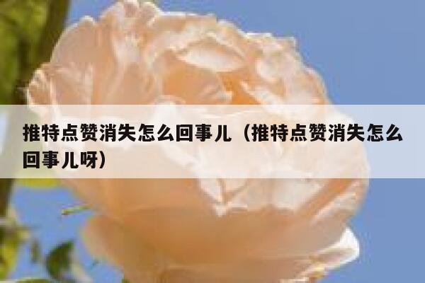 推特点赞消失怎么回事儿（推特点赞消失怎么回事儿呀） 第1张