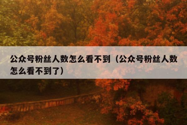 公众号粉丝人数怎么看不到（公众号粉丝人数怎么看不到了） 第1张