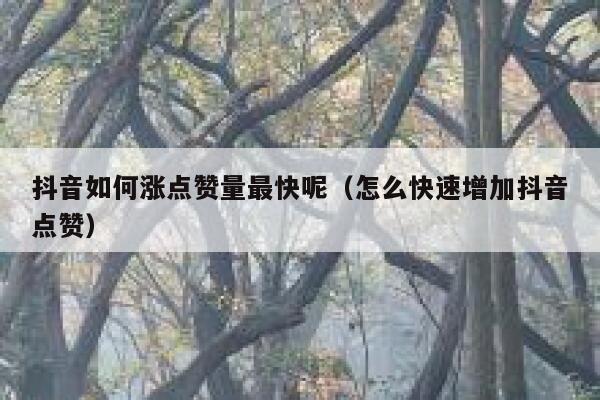 抖音如何涨点赞量最快呢（怎么快速增加抖音点赞） 第1张
