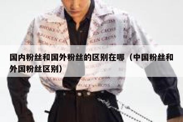 国内粉丝和国外粉丝的区别在哪（中国粉丝和外国粉丝区别） 第1张