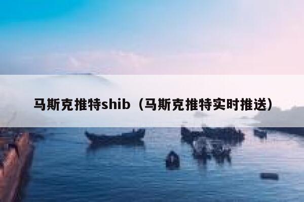马斯克推特shib（马斯克推特实时推送） 第1张