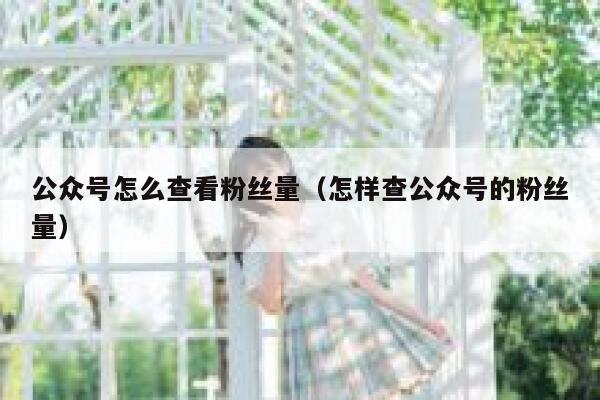 公众号怎么查看粉丝量（怎样查公众号的粉丝量） 第1张