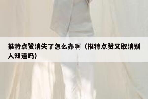 推特点赞消失了怎么办啊（推特点赞又取消别人知道吗） 第1张