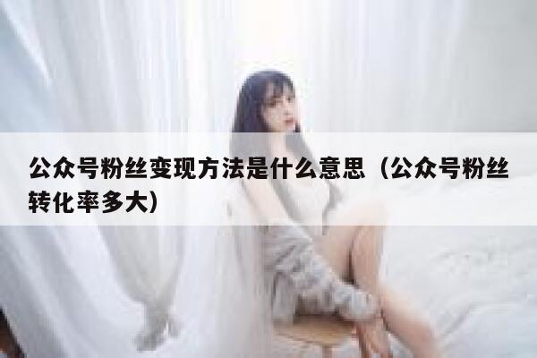公众号粉丝变现方法是什么意思（公众号粉丝转化率多大） 第1张